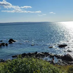 Nobska Lighthouse - Falmouth