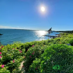 Nobska Lighthouse - Falmouth