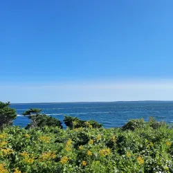 Nobska Lighthouse - Falmouth