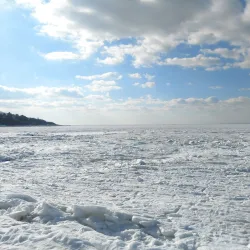 Old Silver Beach - Falmouth