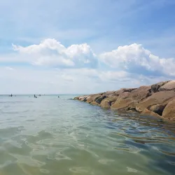 Old Silver Beach - Falmouth