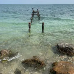 Shining Sea Bikeway - Falmouth