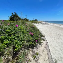 Shining Sea Bikeway - Falmouth