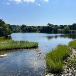 Shining Sea Trail at Sippewissett Marsh - Falmouth
