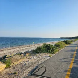 Shining Sea Trail at Sippewissett Marsh - Falmouth