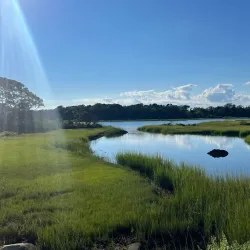 Shining Sea Trail at Sippewissett Marsh - Falmouth