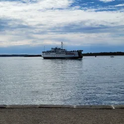 Shining Sea Trail at Sippewissett Marsh - Falmouth