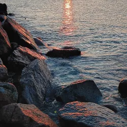 Surf Drive Beach - Falmouth