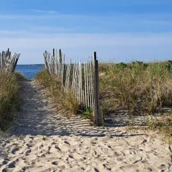 Surf Drive Beach - Falmouth