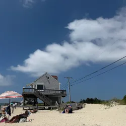Surf Drive Beach - Falmouth
