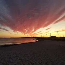 Surf Drive Beach - Falmouth