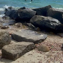 Surf Drive Beach - Falmouth