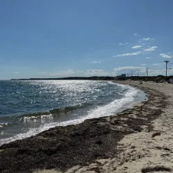 Surf Drive Beach - Falmouth