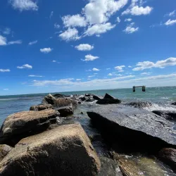 Surf Drive Beach - Falmouth