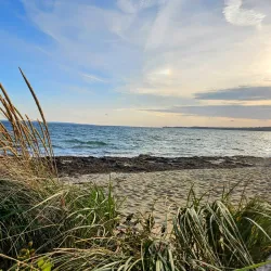 Surf Drive Beach - Falmouth