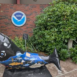 Woods Hole Science Aquarium - Falmouth