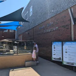 Woods Hole Science Aquarium - Falmouth