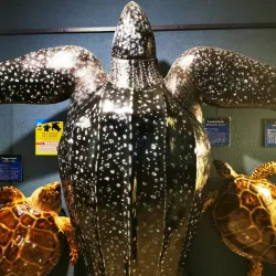 Woods Hole Science Aquarium - Falmouth