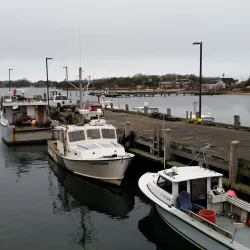 Woods Hole Science Aquarium - Falmouth
