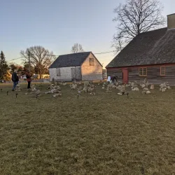 Cape Ann Museum - Gloucester