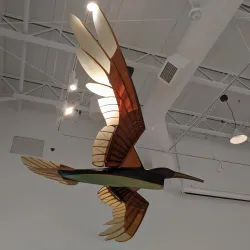 Cape Ann Museum - Gloucester