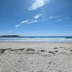 Good Harbor Beach - Gloucester