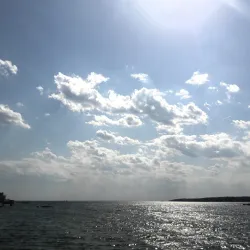 Rocky Neck Art Colony - Gloucester