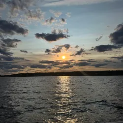 Whale Watching Tours - Gloucester