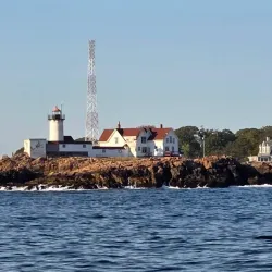 Whale Watching Tours - Gloucester