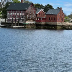 Whale Watching Tours - Gloucester