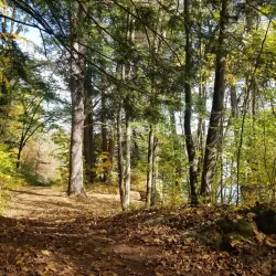 Bartholomew's Cobble - Great Barrington