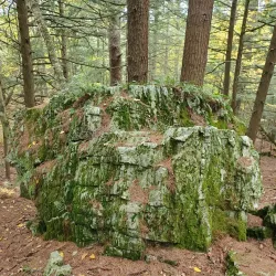 Bartholomew's Cobble - Great Barrington