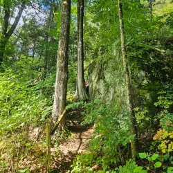 Bartholomew's Cobble - Great Barrington