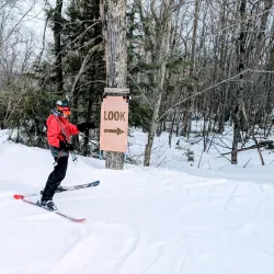 Butternut Basin Farm - Great Barrington
