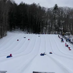 Butternut Basin Farm - Great Barrington