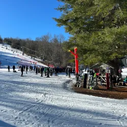 Butternut Basin Farm - Great Barrington