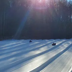 Butternut Basin Farm - Great Barrington