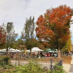 Great Barrington Farmers Market - Great Barrington
