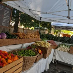 Great Barrington Farmers Market - Great Barrington