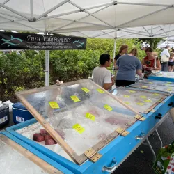 Great Barrington Farmers Market - Great Barrington