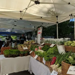 Great Barrington Farmers Market - Great Barrington