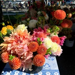 Great Barrington Farmers Market - Great Barrington