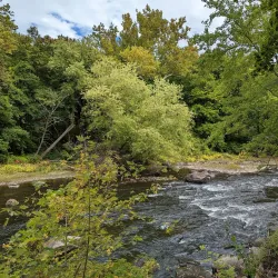 Housatonic River Walk - Great Barrington