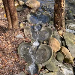 Housatonic River Walk - Great Barrington