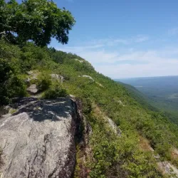 Mount Washington State Forest - Great Barrington