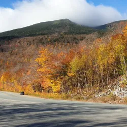 Mount Washington State Forest - Great Barrington