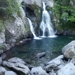Mount Washington State Forest - Great Barrington