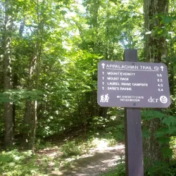 Mount Washington State Forest - Great Barrington