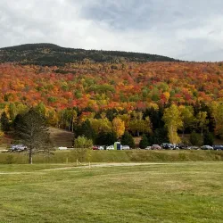Mount Washington State Forest - Great Barrington
