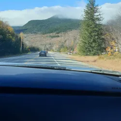 Mount Washington State Forest - Great Barrington